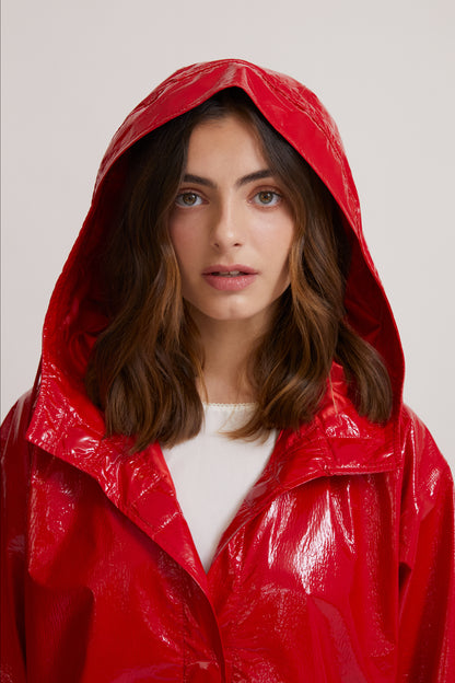 Party 31 Red